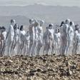 Over 200 pose naked for art installation at Dead Sea. [timesofisrael]