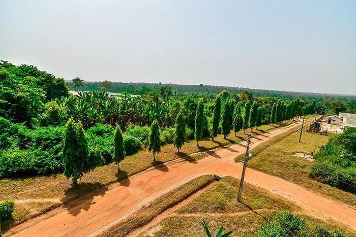 Chi Farms upgrades its GPS farm