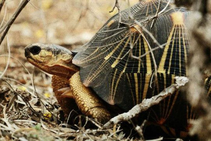 U.S. Embassy in Madagascar &amp; Comoros