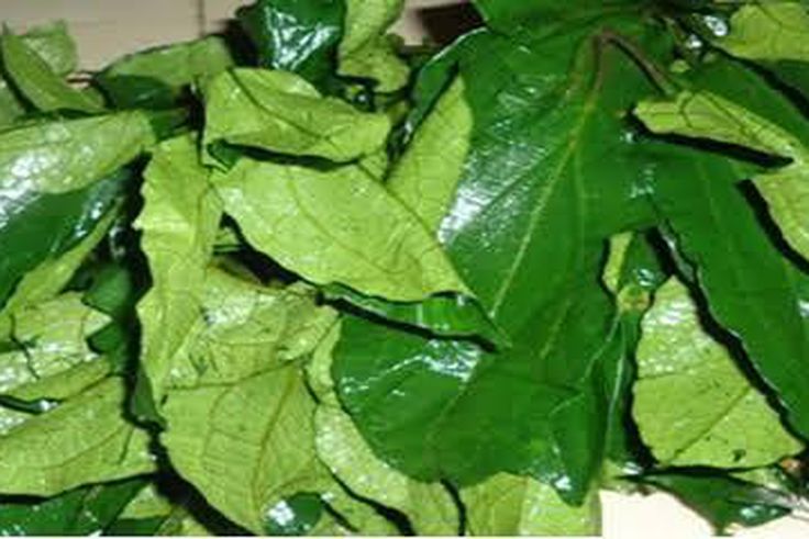 Ugu/Ugwu leaves