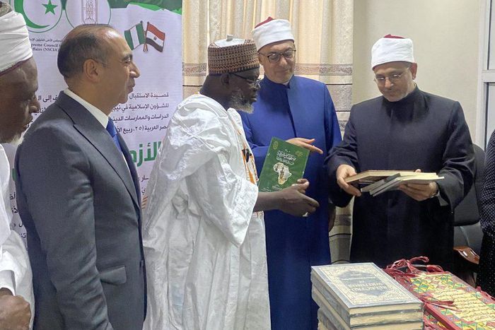 Egyptian delegation led by Ambassador Awad with leaders of the NSCIA. [NAN]