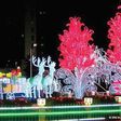 Zenith's bank christmas decoration in Lagos [lailasnews]
