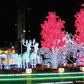 Zenith's bank christmas decoration in Lagos [lailasnews]