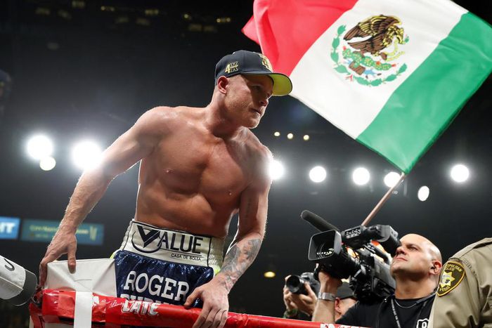 Saul 'Canelo' Alvarez boxing