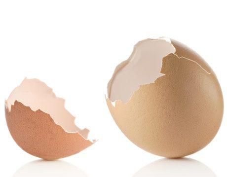 Egg shells are reusable for cleaning