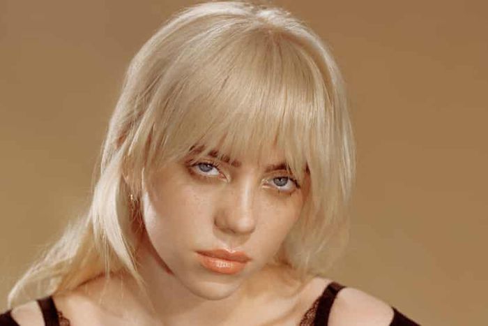 Billie Eillish opens up on porn addiction since age 11; says 'it destroyed my brain'