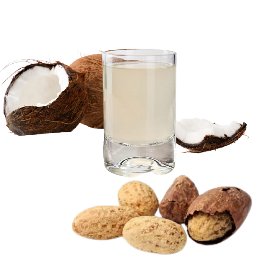 Bitter kola soaked in coconut water