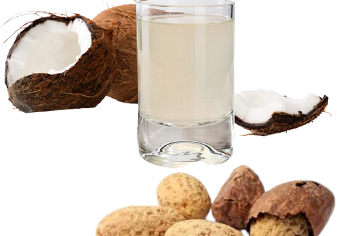 Bitter kola soaked in coconut water