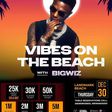 Wizkid - Vibes On The Beach