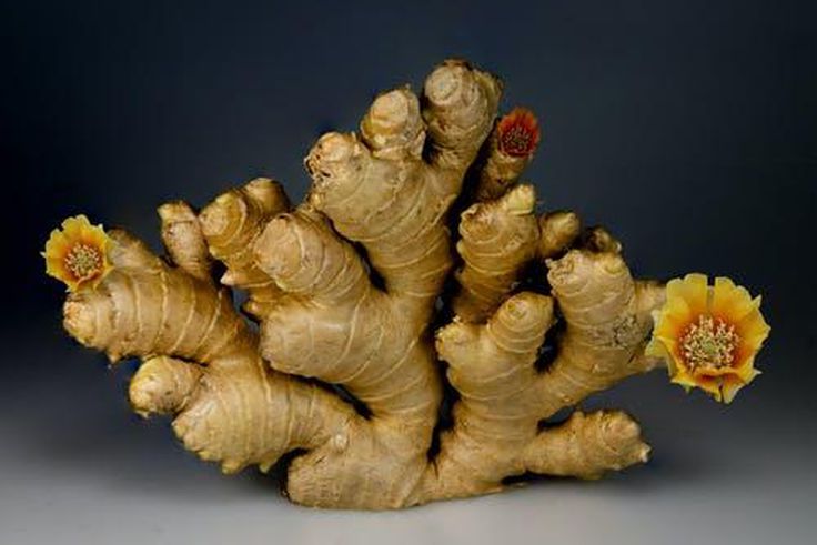 Ginger helps to fights infections