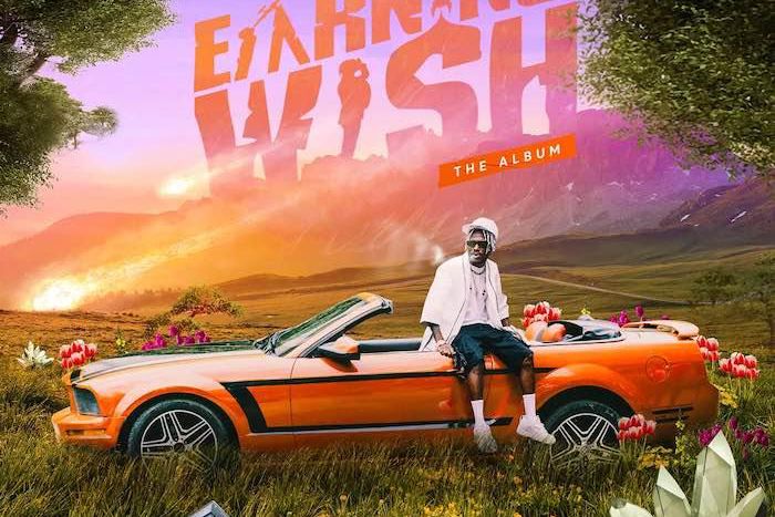 Davolee - Earning Wish. (Dvpper)