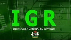 Internally Generated Revenue (IGR)