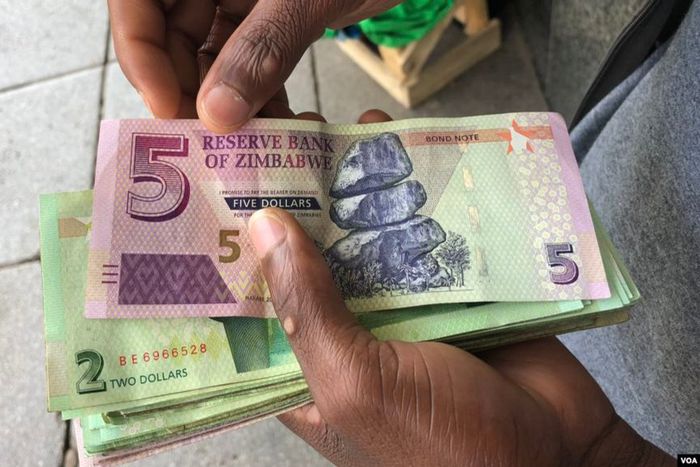 Some countries don’t use their own currency [ZimFact]
