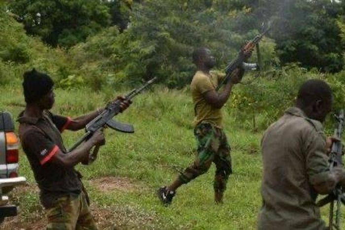 Pandemonium in Niger as bandits kill 10 residents and burn houses