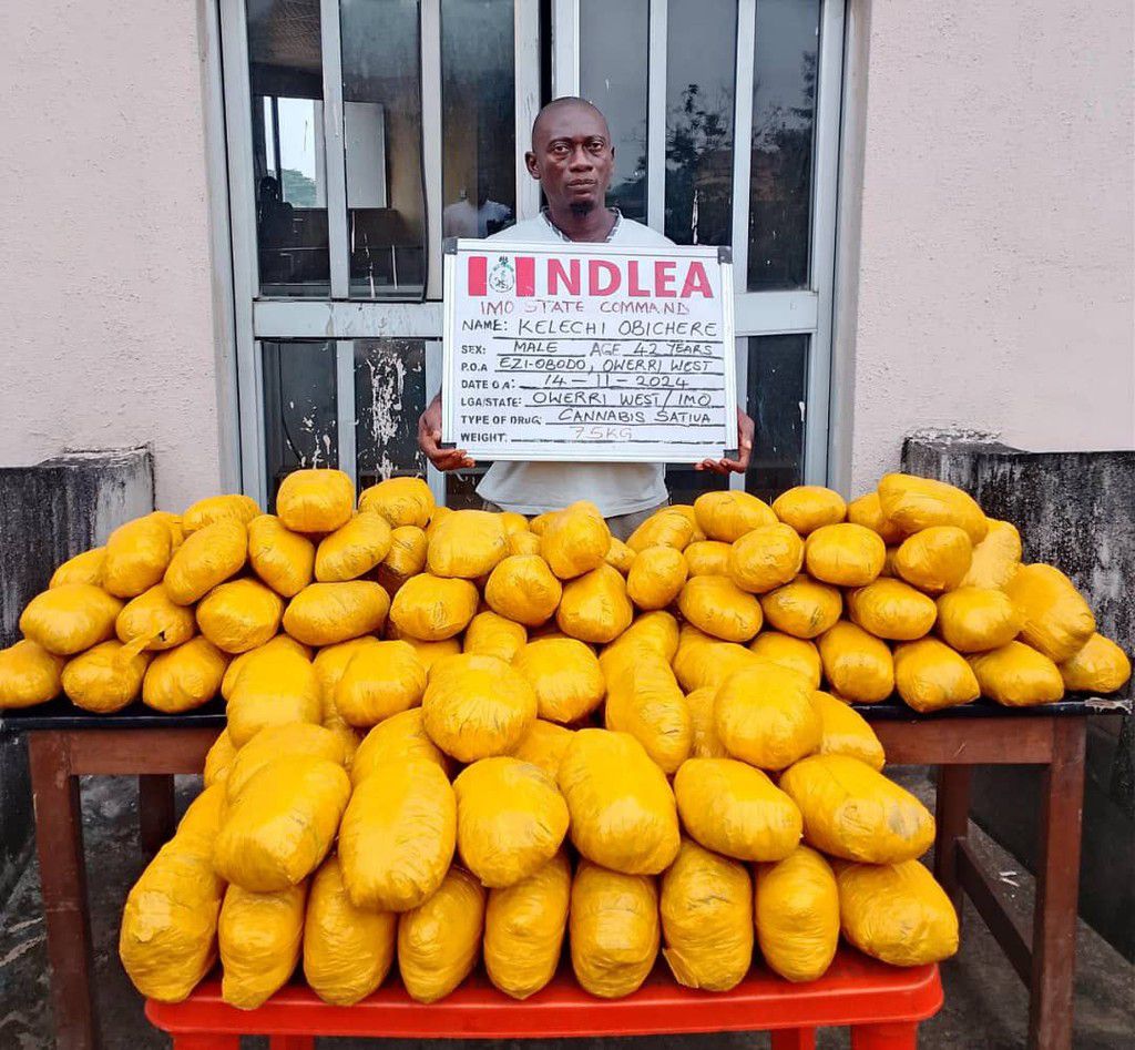 Another suspected drug trafficker arrested by NDLEA