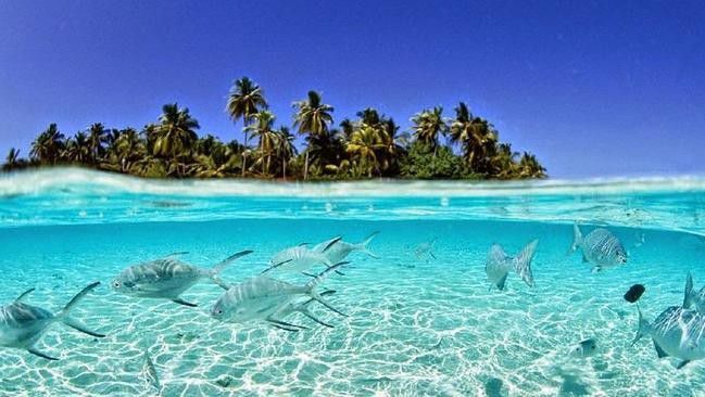 The beautiful waters of Tuvalu [newsau]