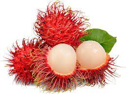 Rambutan [J&CTropicals]