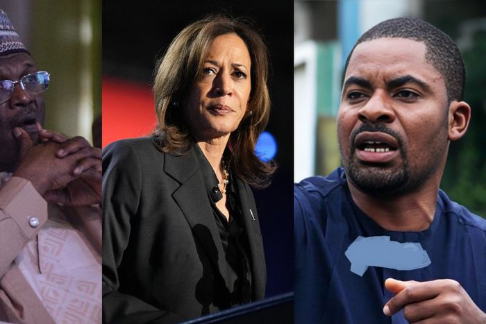 L-R: INEC Chairman, Mahmood Yakubu, US Vice President Kamala Harris and rights activist, Deji Adeyanju. [Getty Images/Facebook]