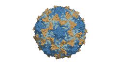 Kwara records 2 cases of circulating variant polio