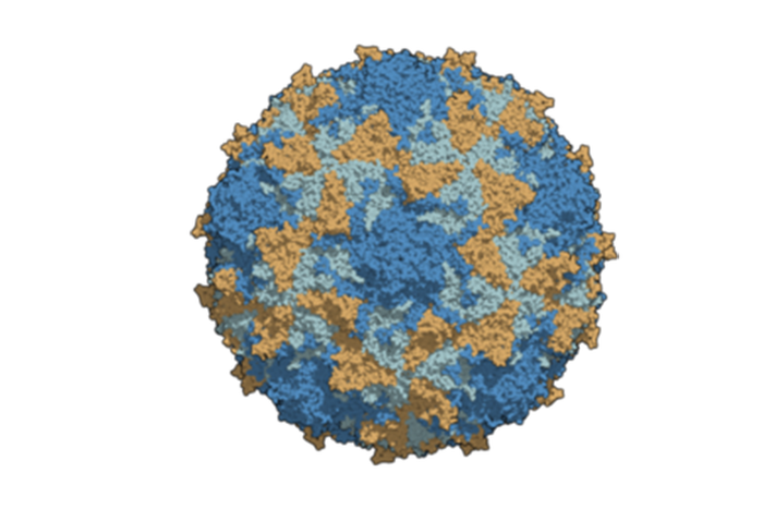 Kwara records 2 cases of circulating variant polio