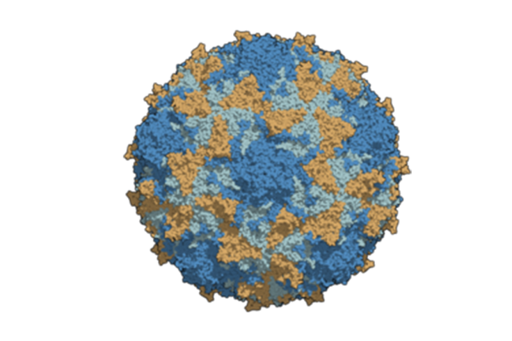 Kwara records 2 cases of circulating variant polio