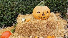 5 Best cities to celebrate Halloween