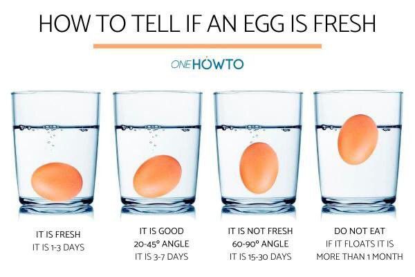 How to tell if an egg is fresh [Quora]