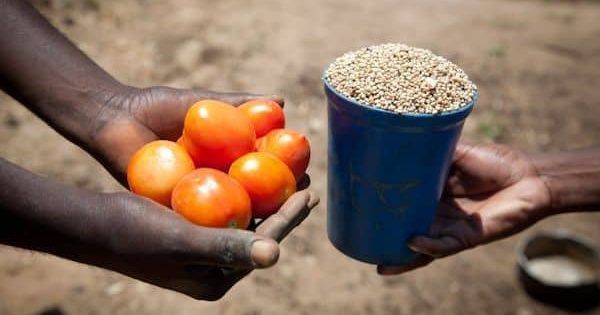 El trueque, una práctica ancestral, sigue siendo de crucial importancia en varias regiones del mundo debido a situaciones económicas particulares. Países como Venezuela, Irán, Zimbabwe, Papua Nueva Guinea y Cuba utilizan el trueque para aliviar la escasez, eludir sanciones económicas o mantener fuertes vínculos comunitarios. A pesar de la llegada del dinero como principal medio de intercambio, el trueque sigue demostrando su resistencia y relevancia en un mundo en constante cambio.