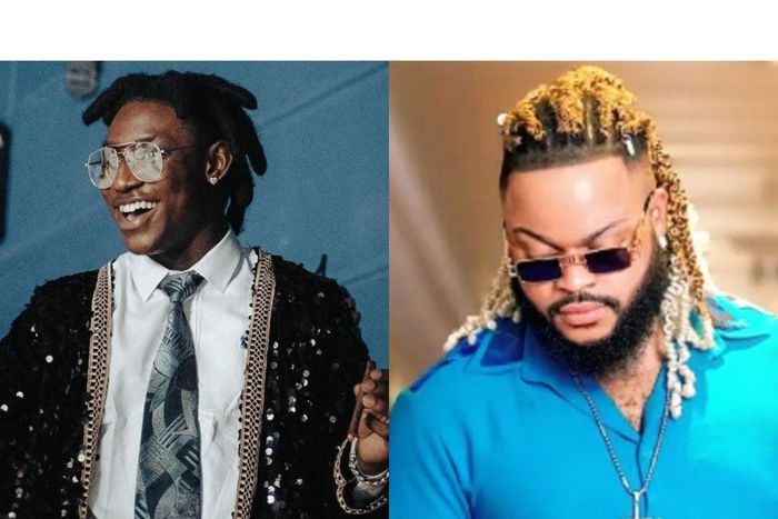 I'm more musically exposed than Shallipopi, I can advise him - White Money