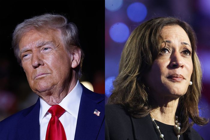 The 2024 presidential election between Vice President Kamala Harris and former President Donald Trump is already beating litigation records.Anna Moneymaker; Scott Olson/ Getty Images