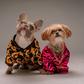 Celebrity pets [Plann]