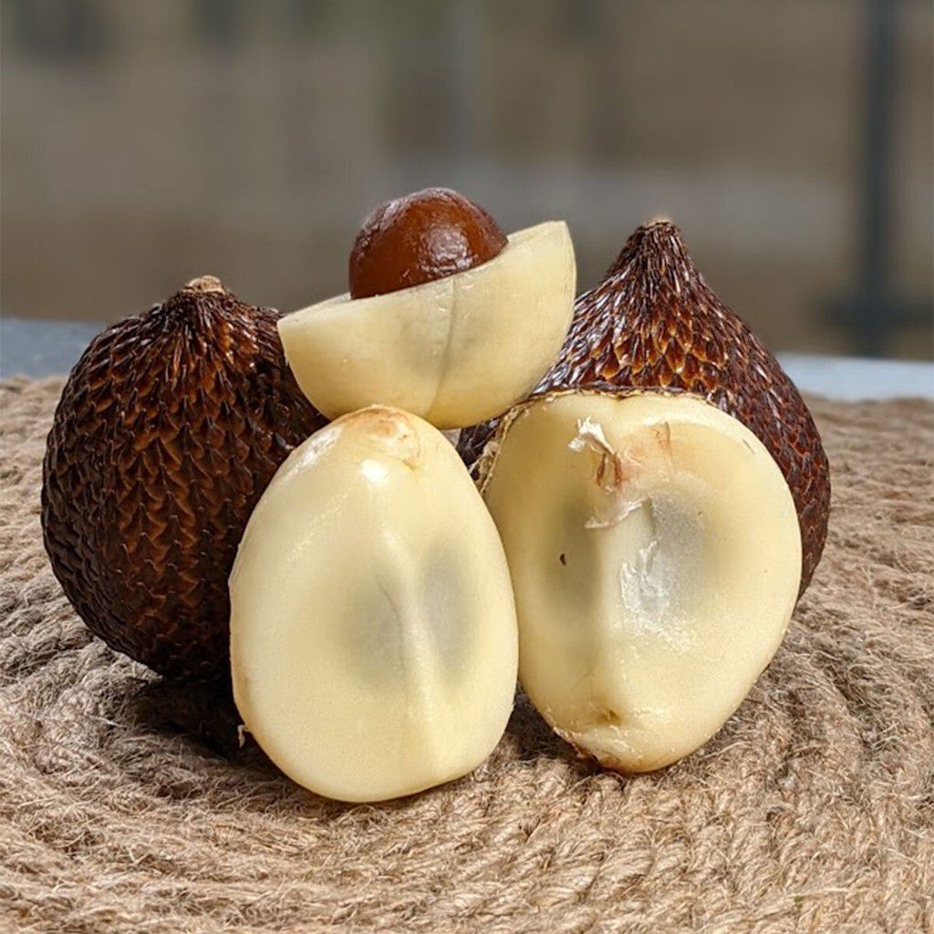 Salak [ParadiseGarden]