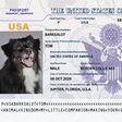 A pet passport [ThePetPass]