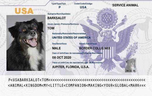 How to Get Pet Passport in Usa 