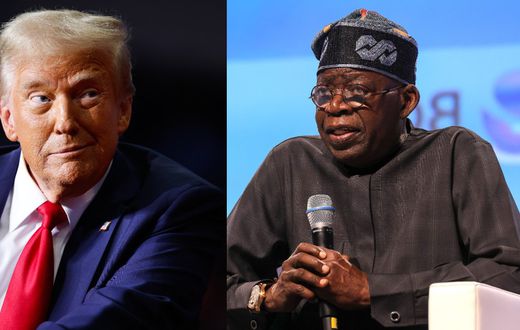 L-R: US President-elect, Donald Trump and Nigeria's President Bola Tinubu. [Getty Images]