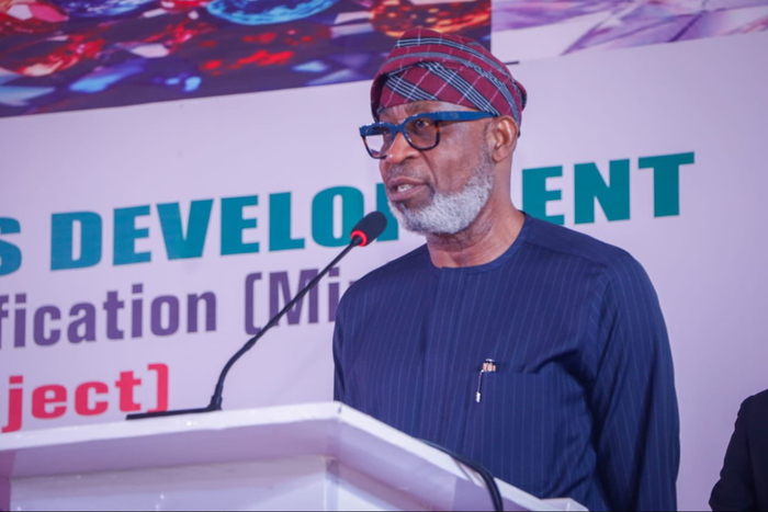 Minister of Solid Minerals Development, Dr Dele Alake [Twitter:@AlakeDele]