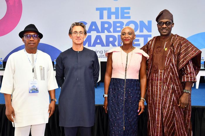 Harnessing the Power of the Carbon Market: Private Sector Leaders Chart the Path for Sustainable Development in Africa
