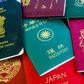 What the colour of your passport says about your country [passporthealth]