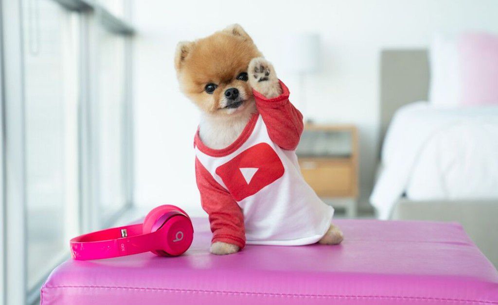 Jiffpom [Tubefilter]