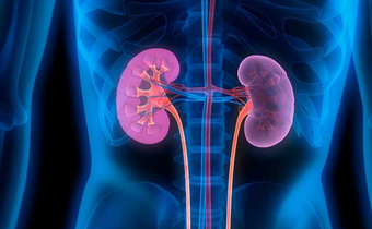 10 tips on how to keep your kidney healthy