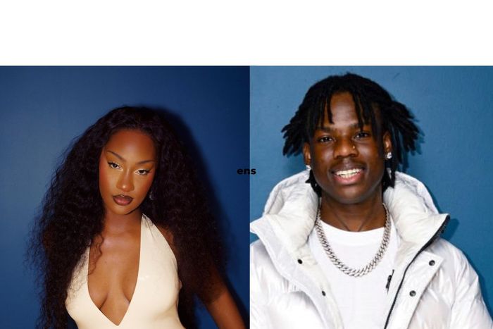 Rema, Tems get Grammy nominations for Best Global Album