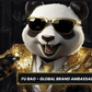 Golden Panda Casino Review - A complete look at bonuses, games & player experience