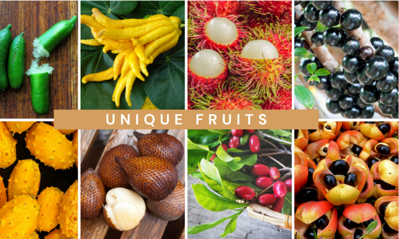 Weirdest fruits you’ve never heard of [YumFrut]
