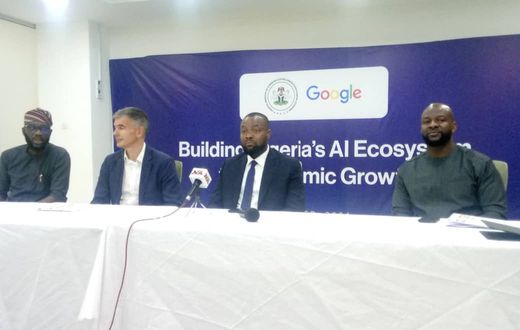Google’s ₦2.8bn grant to boost AI timely - Minister