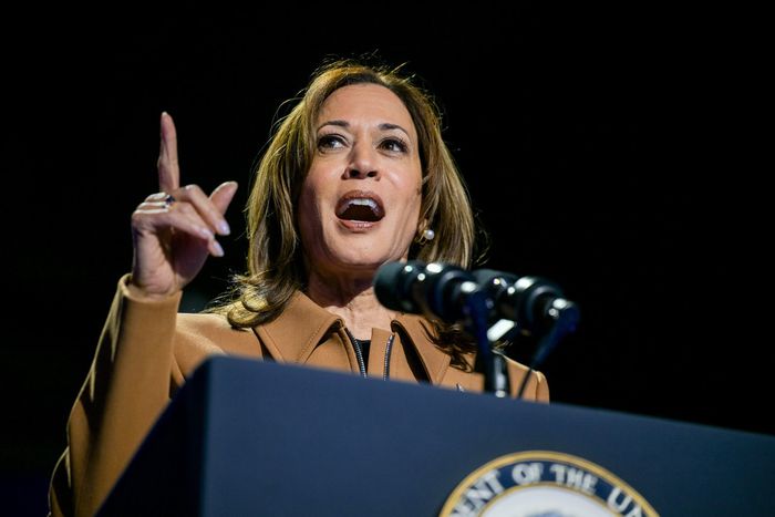 Vice President Kamala Harris has been a frequent presence in Michigan, a state critical to her electoral path.Brandon Bell/Getty Images