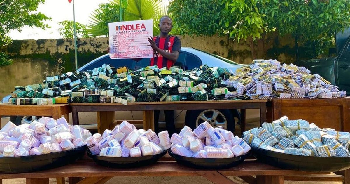 NDLEA seizes tons of illicit drugs in 9 states | Pulse Nigeria