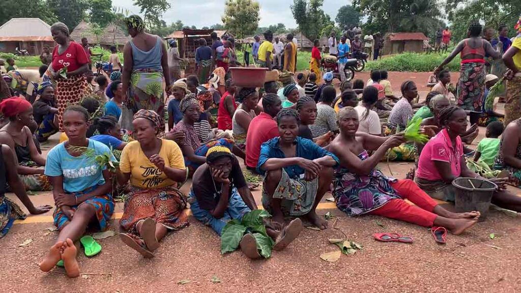 Wake up, Mr President, these Benue killers are coming for all of us