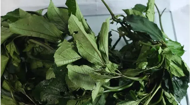 10 Nigerian foods with more fibre than beans