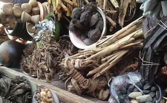 The shocking truth about Nigerian herbal remedies - helpful or harmful?