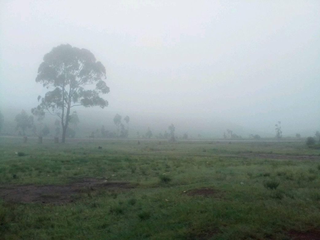 Nigerian states that are coldest in December